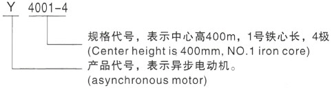 西安泰富西玛Y系列(H355-1000)高压YJTGKK4503-8三相异步电机型号说明