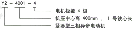 YR系列(H355-1000)高压YJTGKK4503-8三相异步电机西安西玛电机型号说明